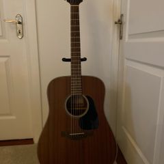 Takamine GD11M-NS
