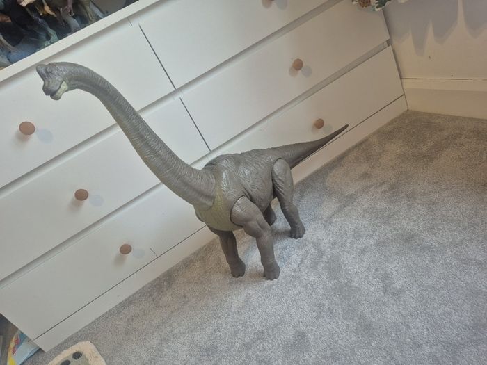 Large Dinosaur
