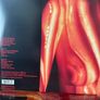 The Jesus Lizard - Goat Image 10