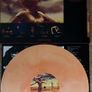 Testament Practice What You Preach vinyl Image 2