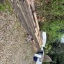 Free Wood Image 2