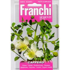 (C) Fr. Capers seeds Cappero Large 0.75g pack