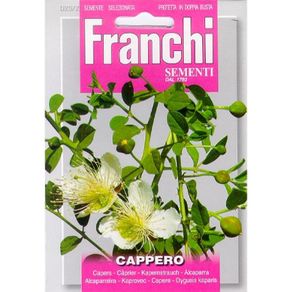 (C) Fr. Capers seeds Cappero Large 0.75g pack