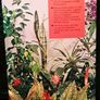 1968. 200 House Plants In Colour. Image 6