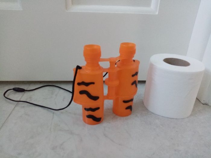 Plastic binoculars