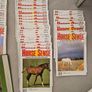 Horse Sense Magazine Collection (1980s) - Nearly Complete + Binder Image 4