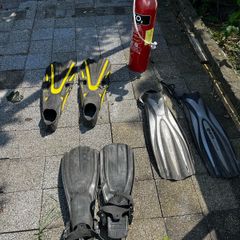 Diving Fins & C02 Tank
