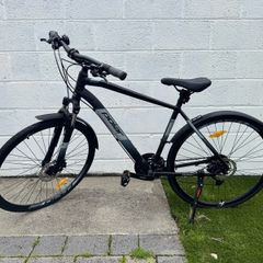 Polar Forester Pro