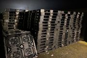 Plastic pallets