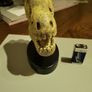 Dinosaur skull model Image 6