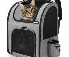 Pecute cat/dog pet backpack