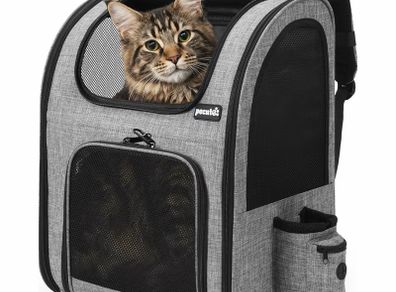 Pecute cat/dog pet backpack
