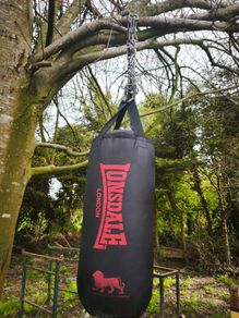 boxing bag