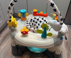 Baby activity centre