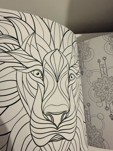 New Zodiac colouring book