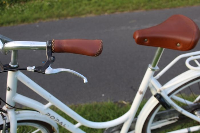 Dutch Style 3 Speed City Bike Hub Gears, Lights & Rear Pedal Brake