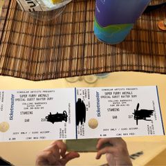 Super furry animals tickets x2