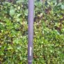 Mizuno T-Zoid MX-15 Sand Wedge Image 7