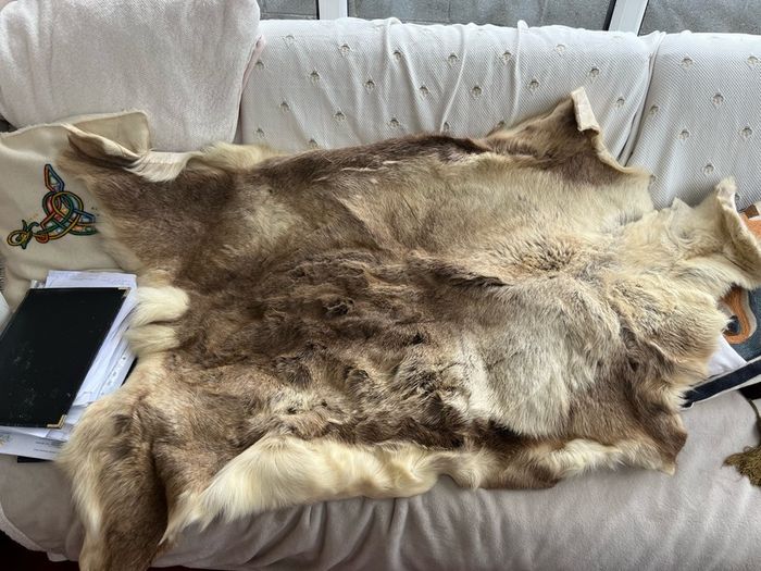 deer skin