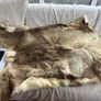 deer skin Image 2