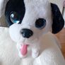 Talking Dog Image 2