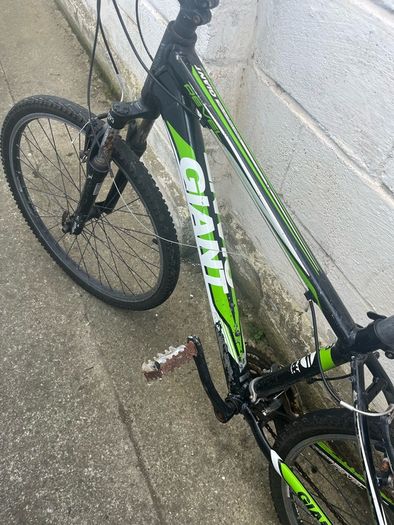 Men's giant bike