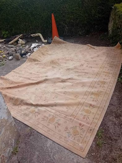 Large Floor Rug Needs Serious Cleaning