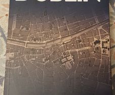 A Little History Of The Future Of Dublin by Frank McDonald