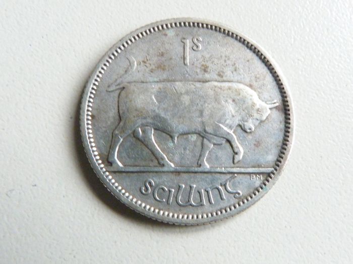 Irish silver shilling