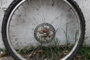 two bicycle wheels