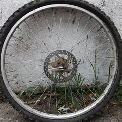 two bicycle wheels
