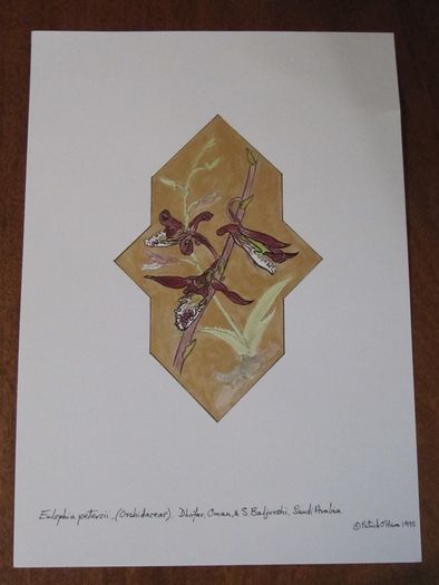 Print of Orchids in Arabic Design