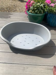 free dog bed