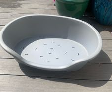 free dog bed