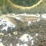 110L fish tank need gone ASAP Image 8