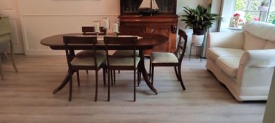 Mahogony dining table & chairs