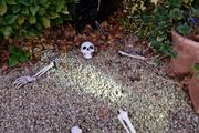 Halloween Decorations