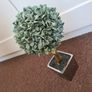 Frosted Faux Eucalyptus Plant Image 3