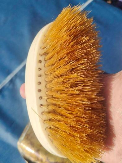 Victorian brass crumber and bone handled brush