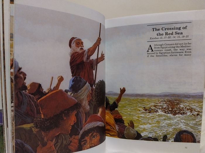 The All Colour Children,s Bible Hardback