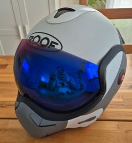 Roof helmet