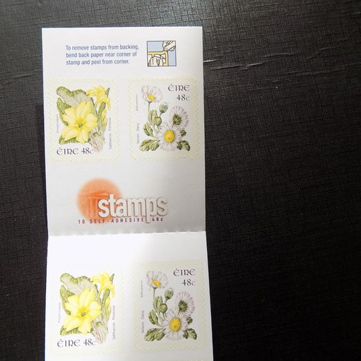 Ireland 2004.Native Wild Flowers.Stamp Booklet.10 x 48c Self-adhesive.MNH.