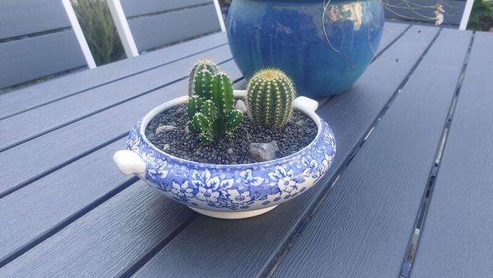 Fabulous Vintage Arklow Pottery Blue and White Tureen with Cacti Garden - A Fabulous Unique and Decorative Item for Display Indoors