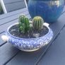 Fabulous Vintage Arklow Pottery Blue and White Tureen with Cacti Garden - A Fabulous Unique and Decorative Item for Display Indoors Image 5