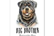Rottweiler Dog Pet Puppy Print Canvas Wall Art Poster Kids Room Home Decor Pic