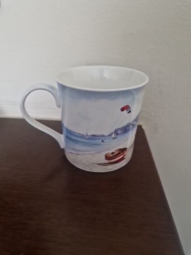 leonardo mug