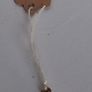 Mini Micro Peacock Feather Charm Image 4