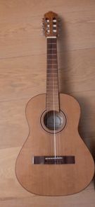 Guitar 1/2 size with padded case