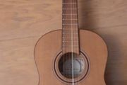 Guitar 1/2 size with padded case