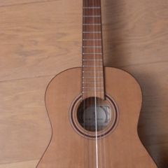 Guitar 1/2 size with padded case